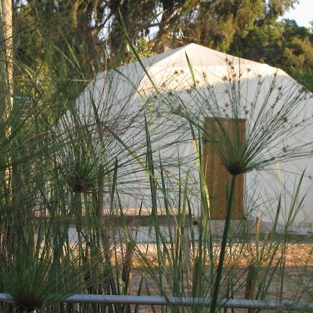 Yarok Az - Ecolodge Farm Ilaniya Номер фото