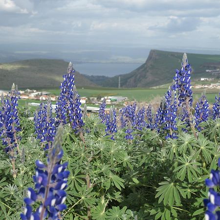 Yarok Az - Ecolodge Farm Ilaniya Экстерьер фото